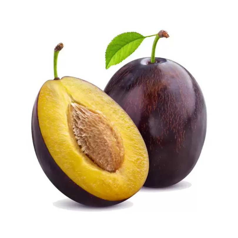 Prun Wiegierka Zwykla, Prunus Domestica