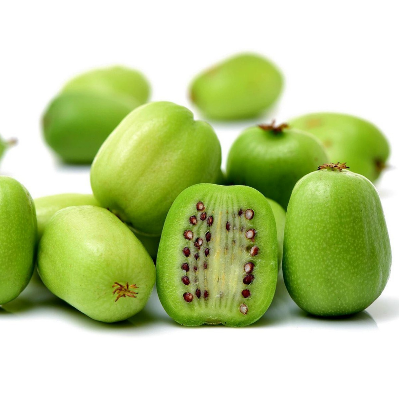 Mini-kiwi Issai, Actinidia Arguta, autofertil