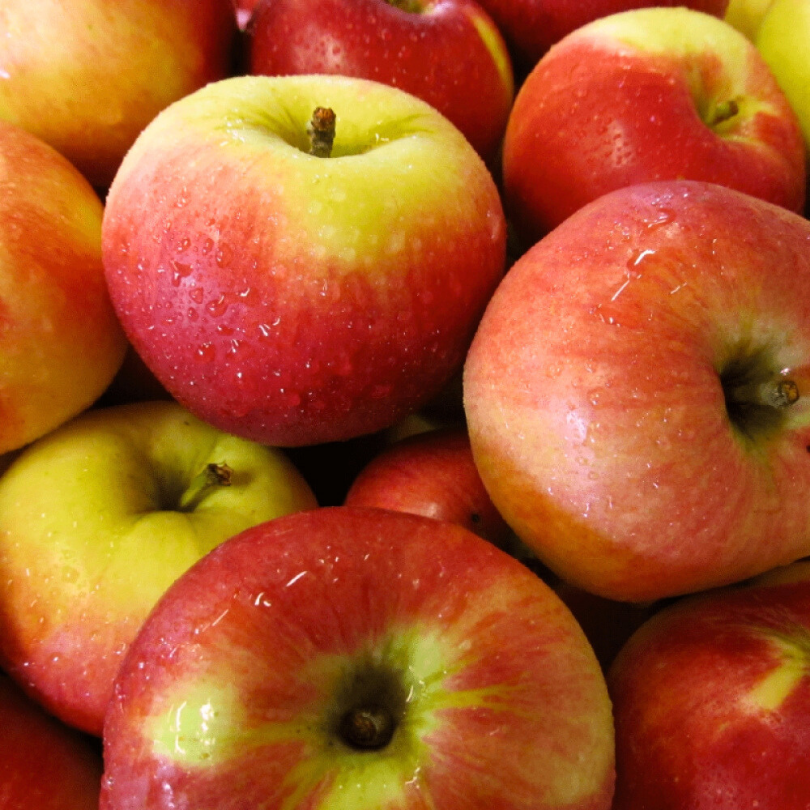 Mar Imperatore, Malus Domestica