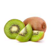 Kiwi Jenny, Actinidia Deliciosa, autofertil