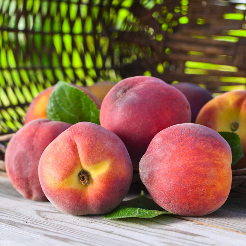 Piersic Pitic, Prunus Persica