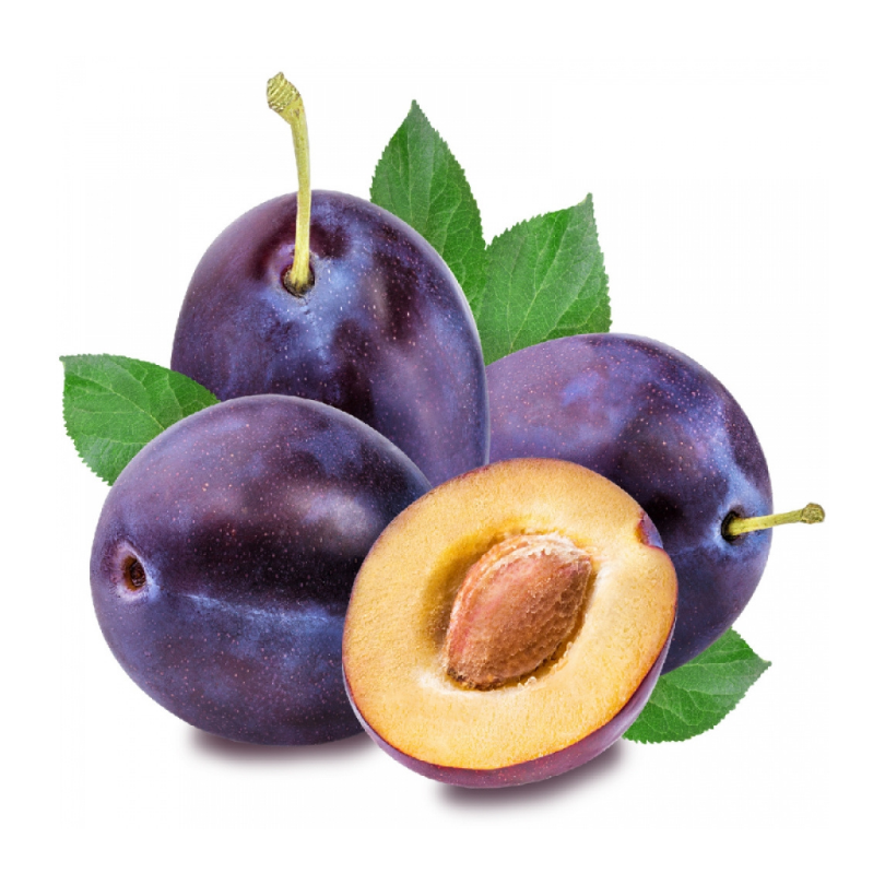 Prun Stanley, Prunus Domestica