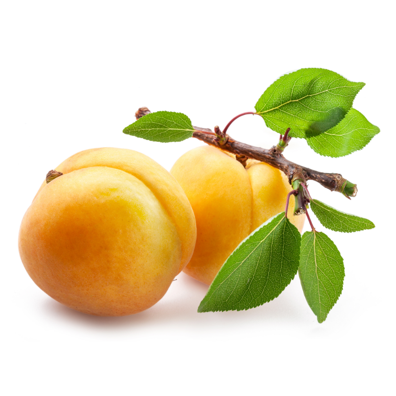 Cais Precoce Cremonini, Prunus Armeniaca