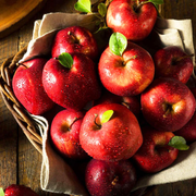 Mar Red Delicious, Malus Domestica