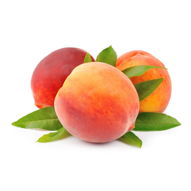 Piersic Iris Rosso, Prunus Persica