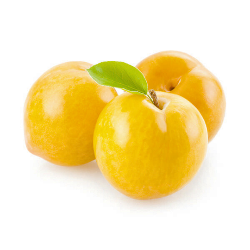 Prun Shiro, Prunus Domestica