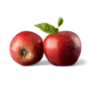 Mar Annurca, Malus Domestica