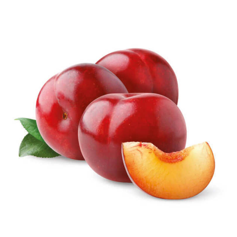 Prun Rosu Jamaica, Prunus Domestica Jerozolima