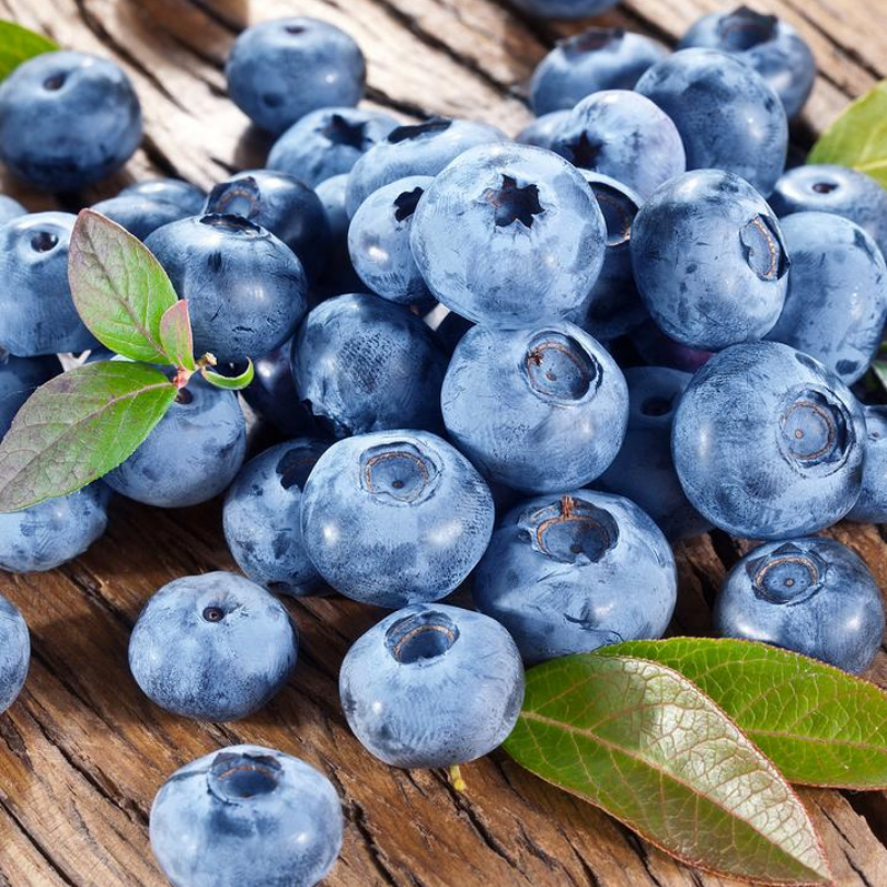 Afin, Vaccinium Corymbosum