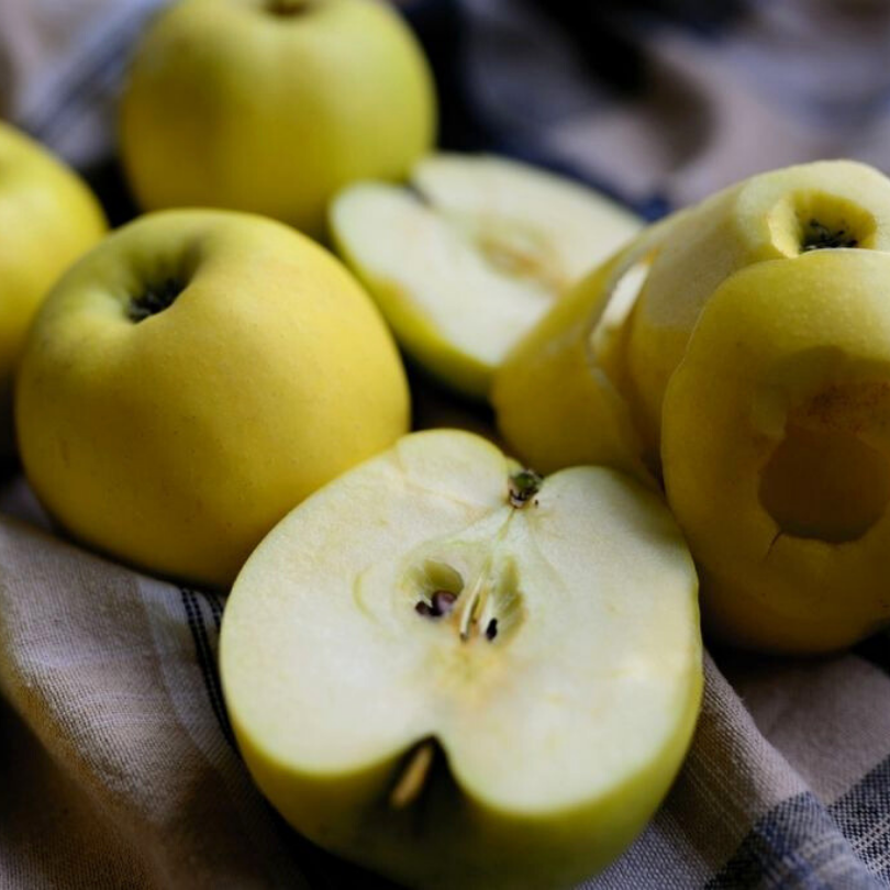 Mar Antonówka, Malus Domestica