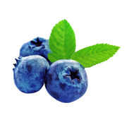 Afin, Vaccinium Corymbosum