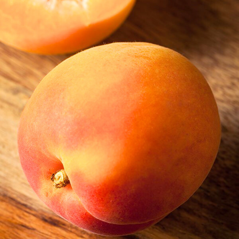 Cais San Castrese, Prunus Armeniaca