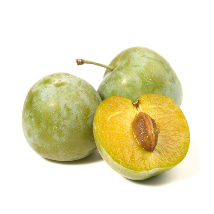Prun Regina Claudia Verde, Prunus Domestica