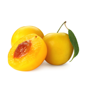 Prun Regina Claudia Gialla, Prunus Domestica