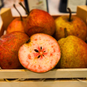 Par Cocomerina, Pyrus Communis