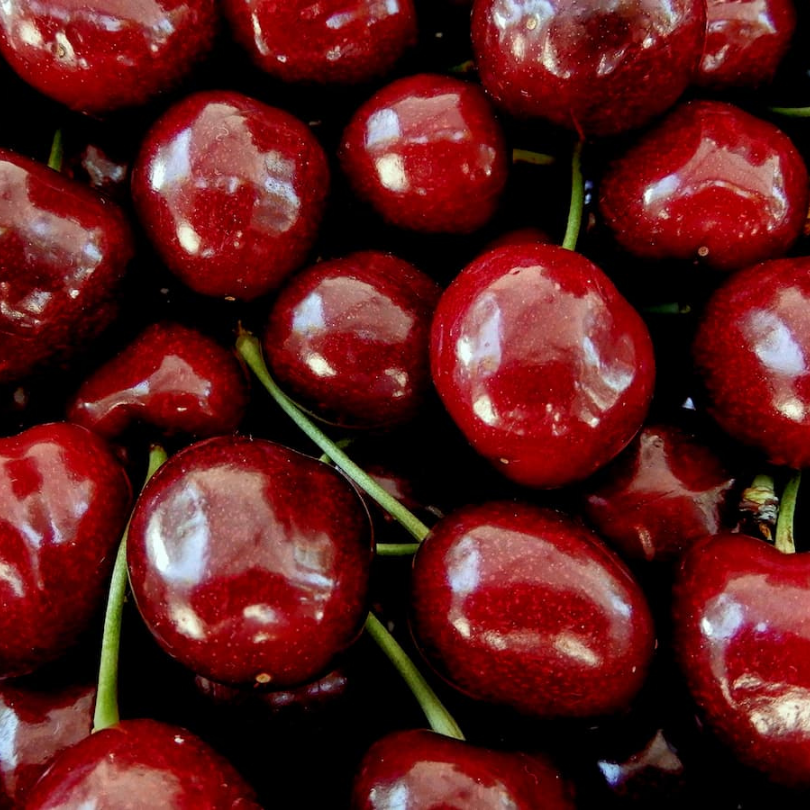 Cires Moretta di Vignola, Prunus Avium