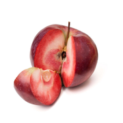 Mar Polpa Rossa, Malus Domestica