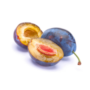 Prun Mirobolan, Prunus Domestica Bluefree