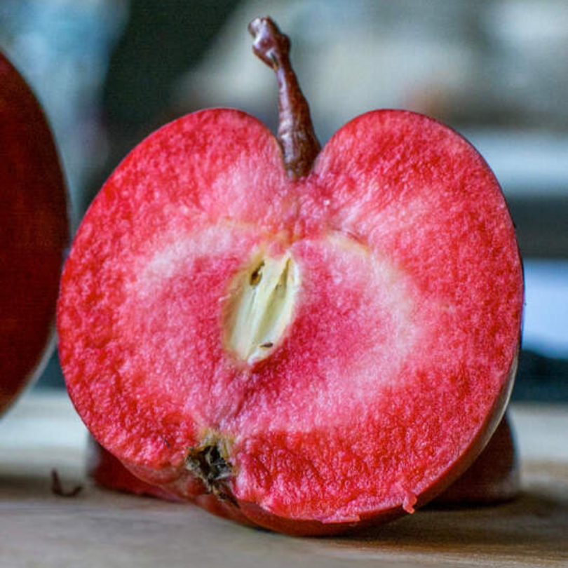 Mar Polpa Rossa, Malus Domestica