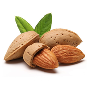 Migdal Ferragnes, Amygdalus Communis