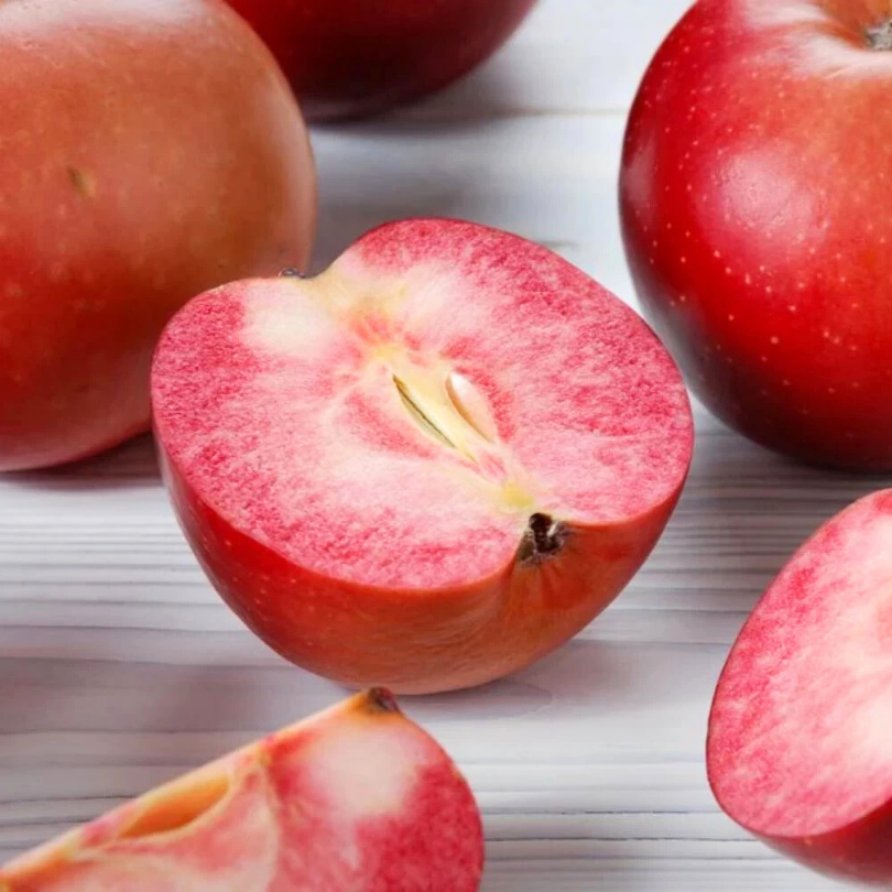 Mar Polpa Rossa, Malus Domestica