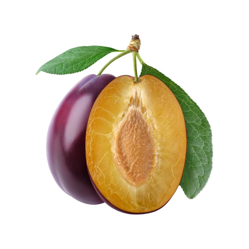 Prun Coscia de Monaco, Prunus Domestica