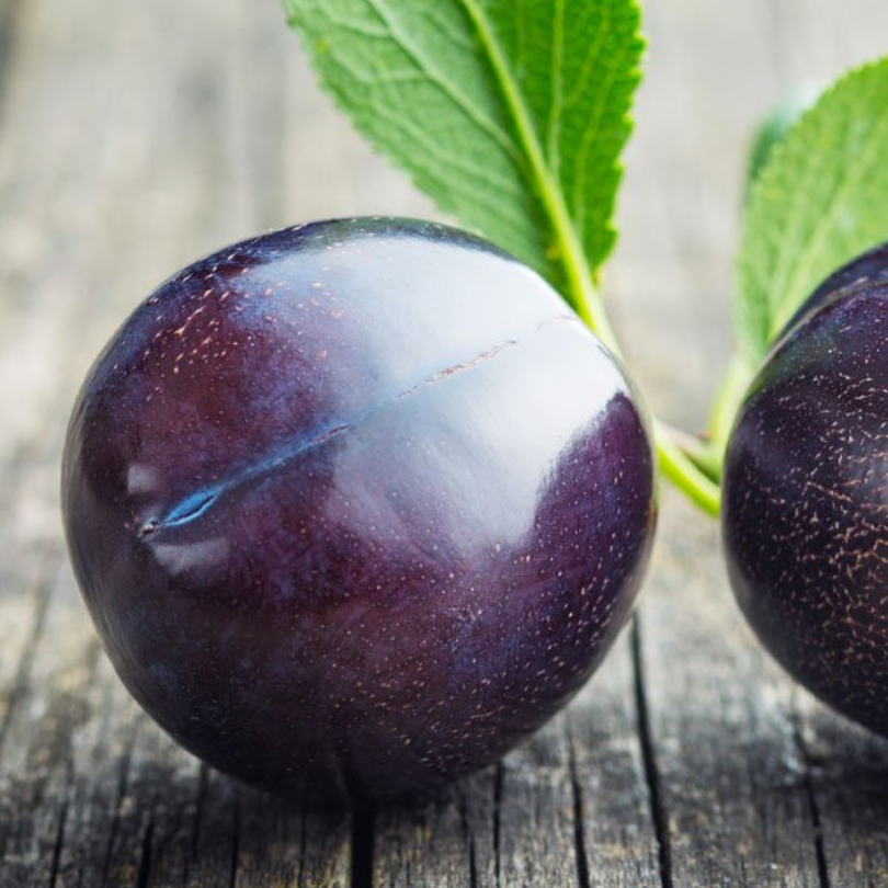 Prun Black Amber, Prunus Domestica