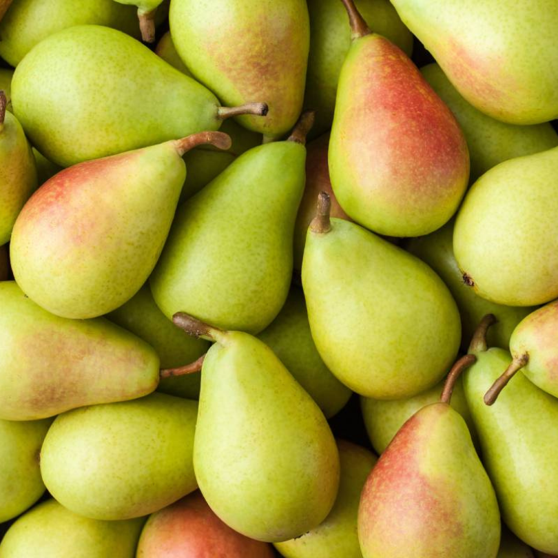 Par San Piero, Pyrus Communis