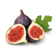 Smochin, Ficus Carica