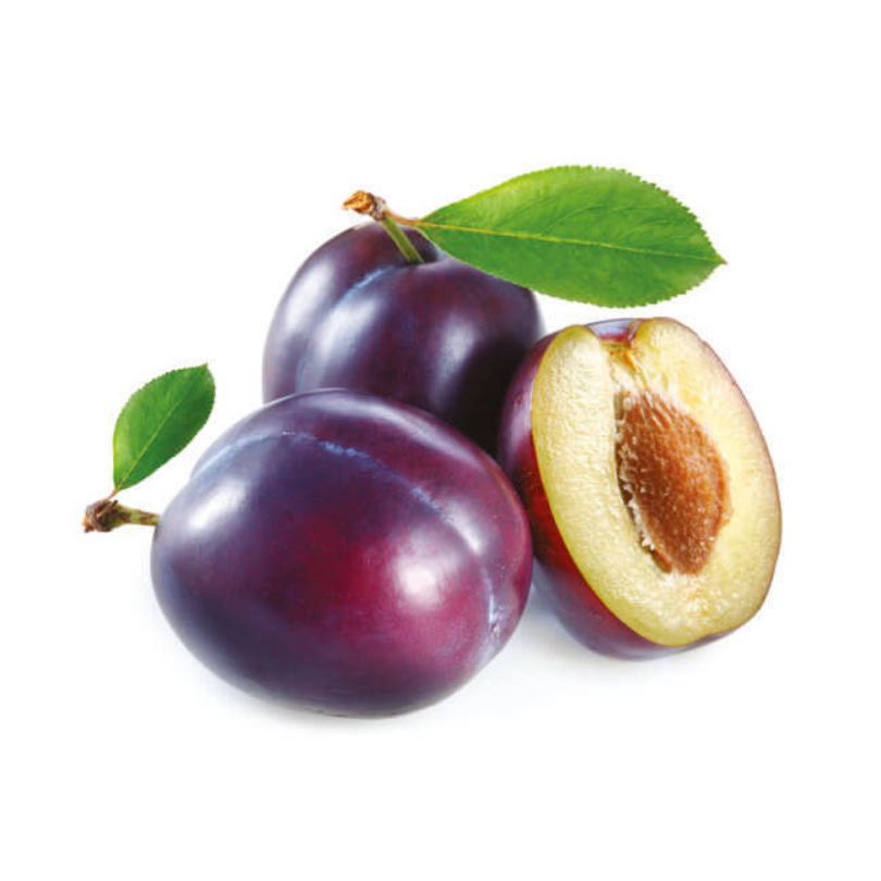 Prun Amers, Prunus Domestica