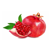 Rodiu Parfianka, Punica Granatum