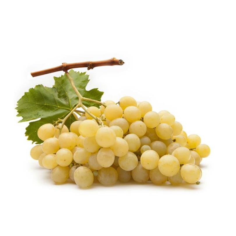 Vita de Vie Victoria, Vitis Vinifera, pentru masa, alb