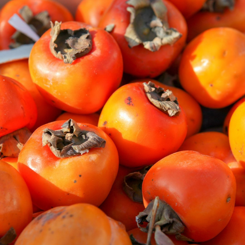 Kaki Tipo, Diospyros Kaki