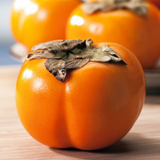 Kaki Tipo, Diospyros Kaki