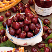 Cires Bigarreau Van, Prunus Avium