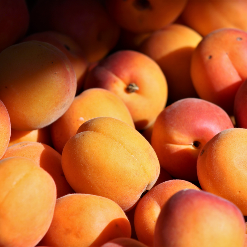 Cais Roxana, Prunus Armeniaca