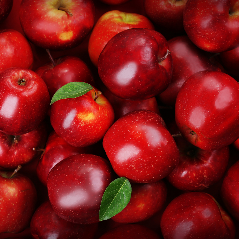 Mar Red Delicious, Malus Domestica