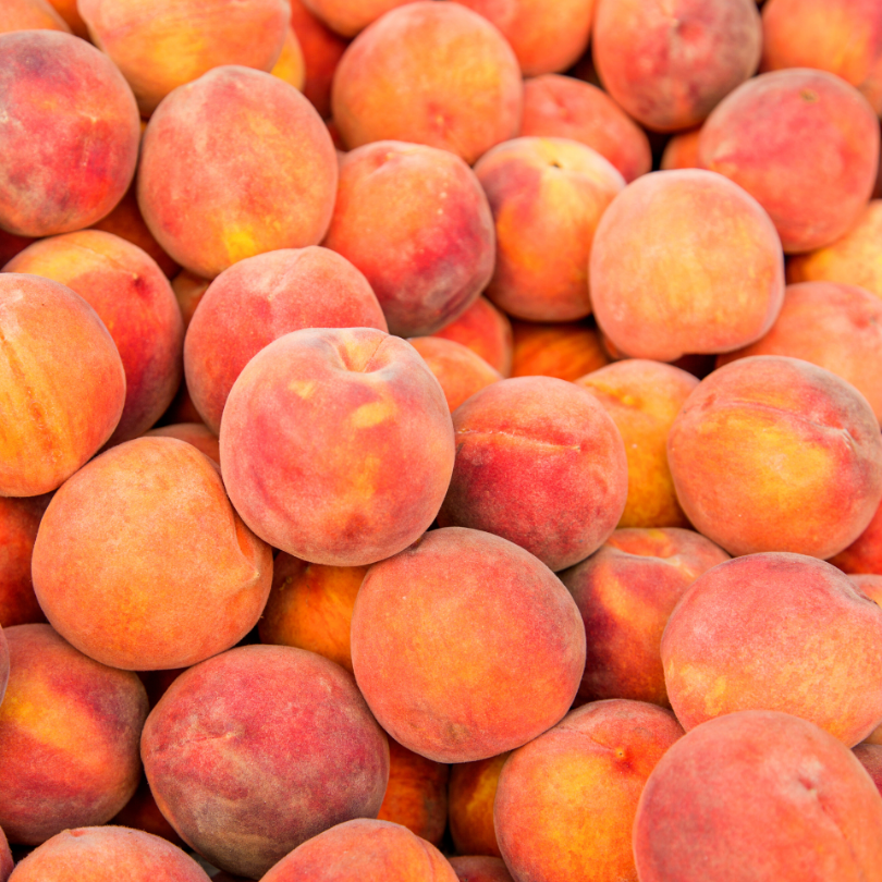 Piersic Iris Rosso, Prunus Persica