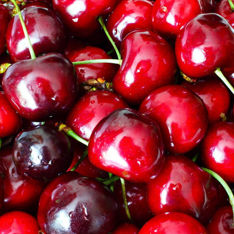 Cires Sunburst, Prunus Avium