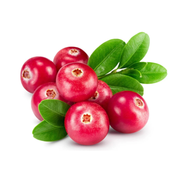 Merisor Howes, Vaccinium Macrocarpon