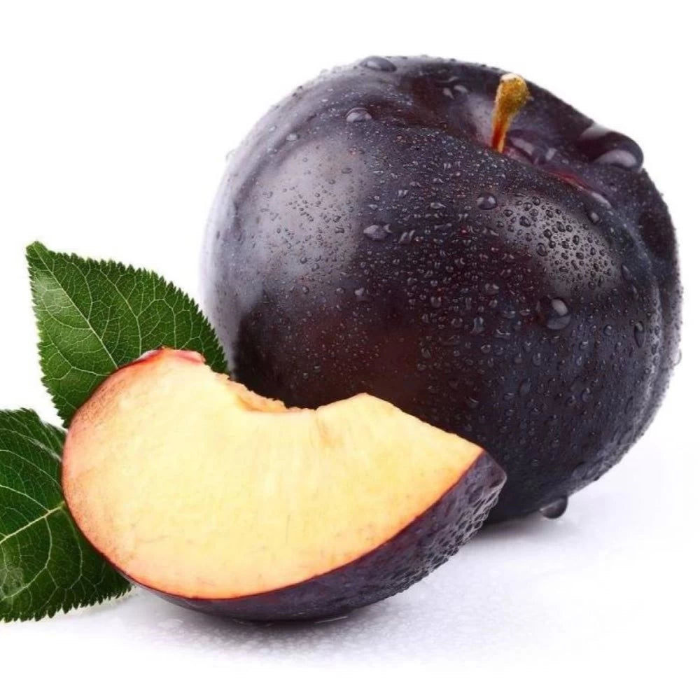 Prun Angeleno, Prunus Domestica