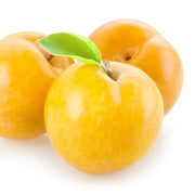 Prun Goccia d Oro Shiro, Prunus Domestica