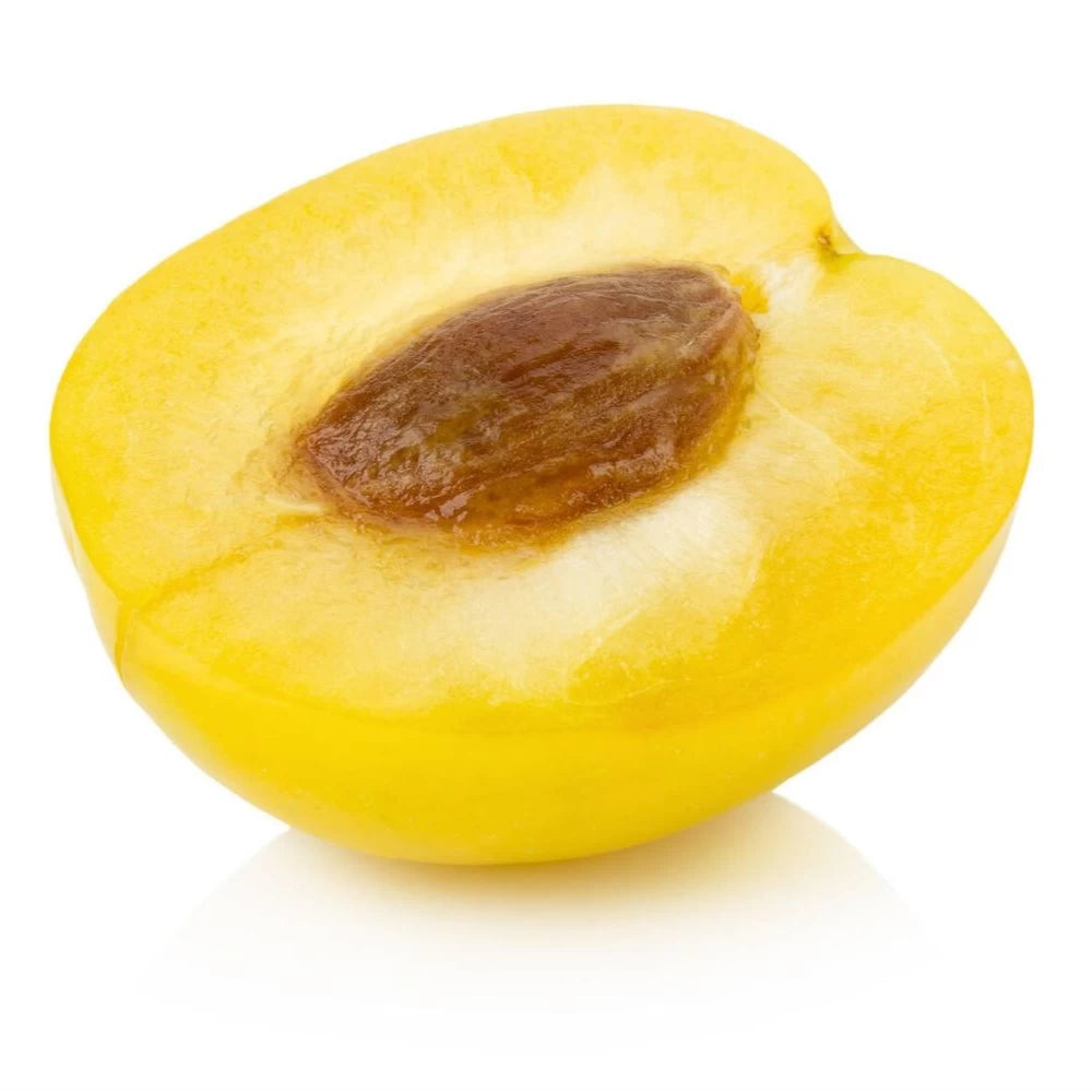 Prun Pitic Galben, Prunus Domestica