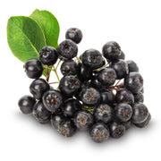 Scorus Negru Hugin, Aronia Melanocarpa
