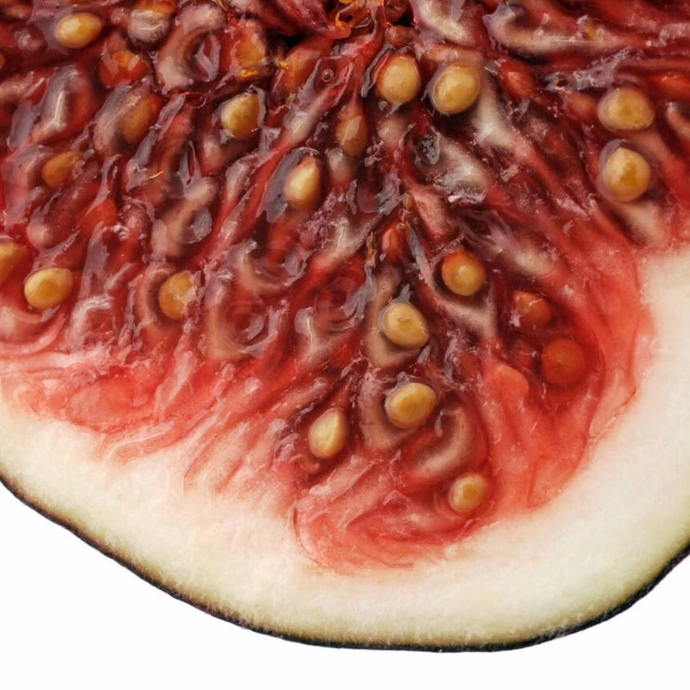 Smochin Brogiotto Nero, Ficus Carica