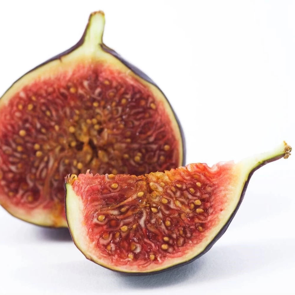 Smochin Brogiotto Nero, Ficus Carica