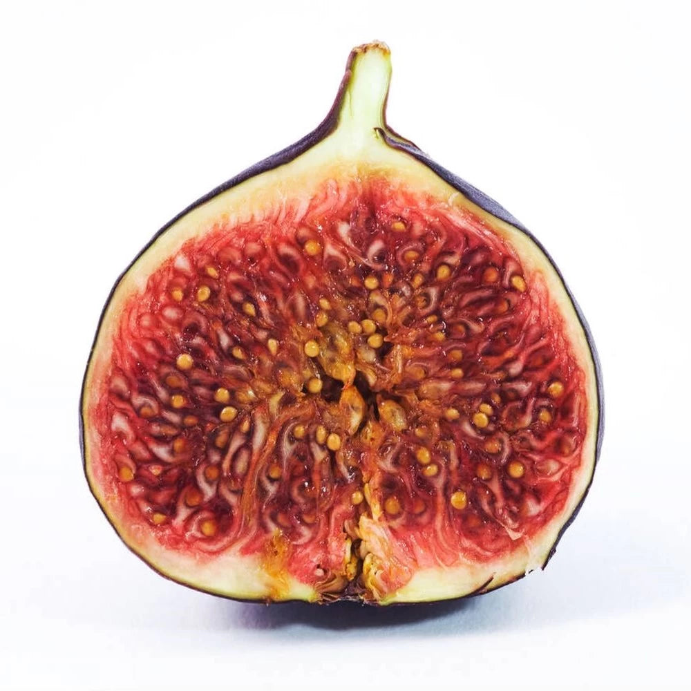 Smochin Brogiotto Nero, Ficus Carica