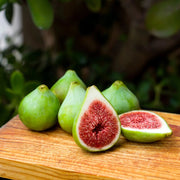 Smochin Dalmatie, Ficus Carica
