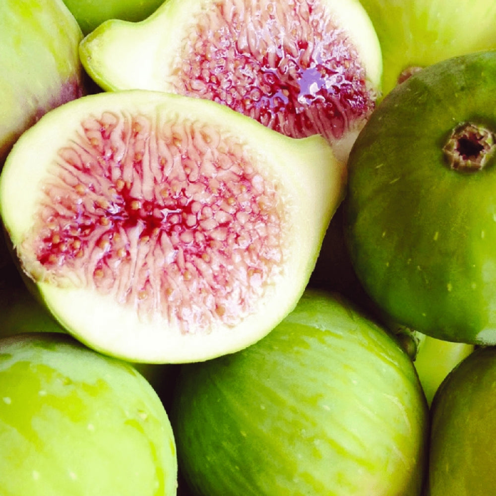 Smochin Dottato, Ficus Carica