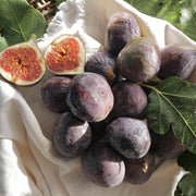 Smochin Fiorone Nero, Ficus Carica